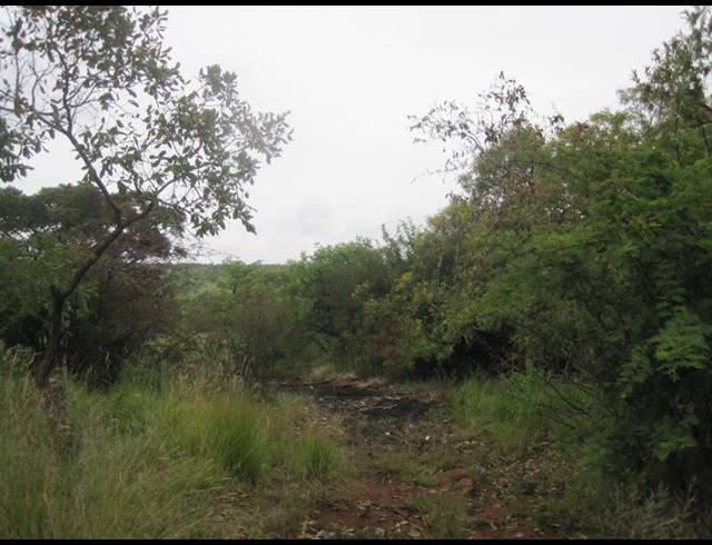 FARM FOR SALE IN HAAKDOORNBOOM AH